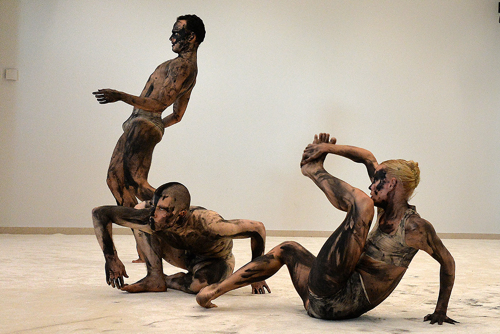 Tan2017-12-28_1008559_8