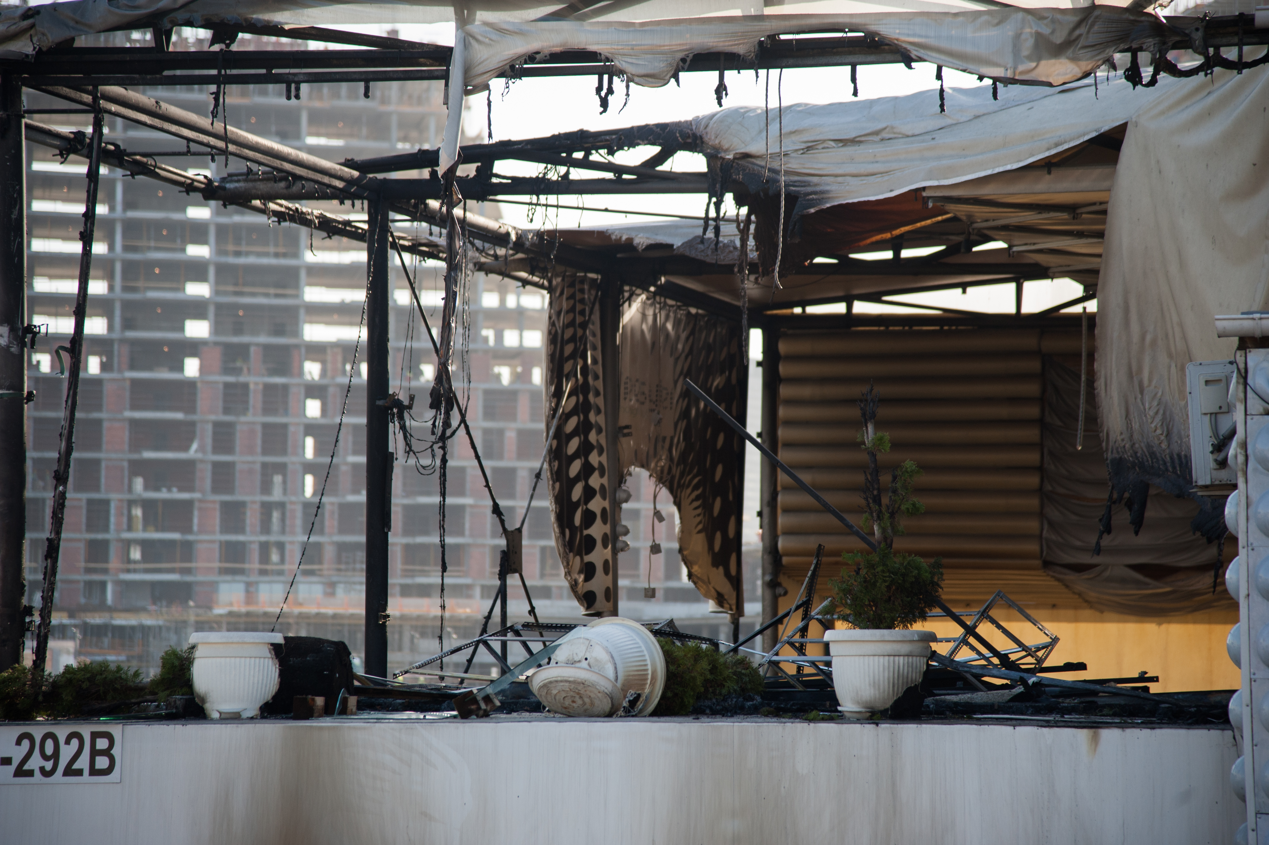 Tan2017-2-28_92225249_2