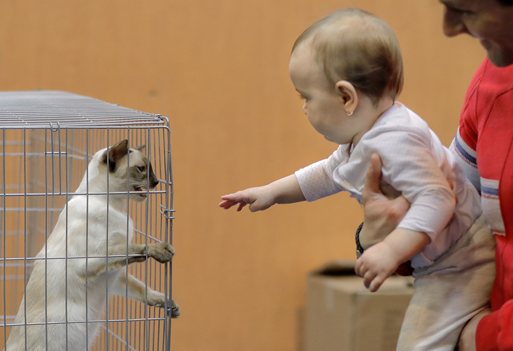 Tanjug/AP/Vadim Ghirda