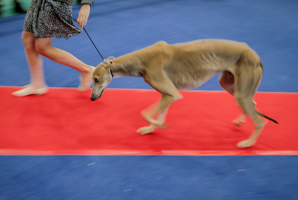 Tanjug/AP/Vadim Ghirda