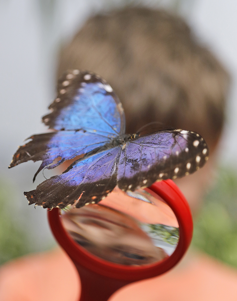 Tan2017-3-30_16124427_0