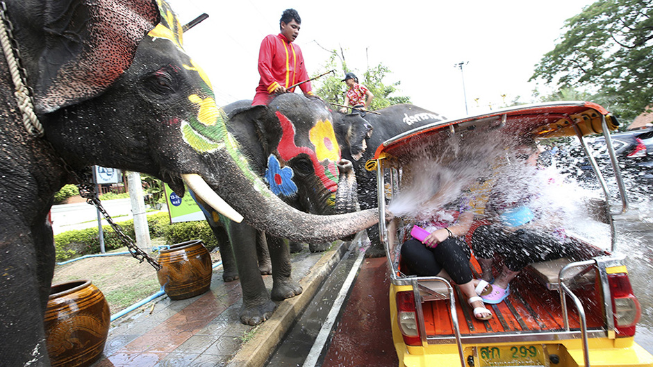 Tan2017-4-11_93849728_0 1