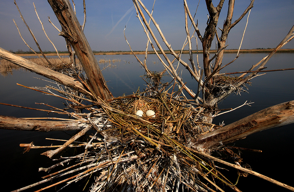 Tan2017-4-11_95744968_2