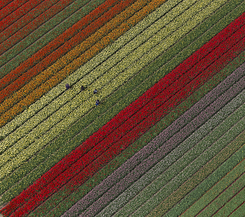 Tanjug/AP/Peter Dejong