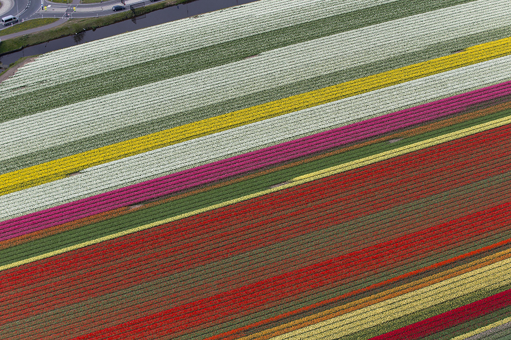 Tanjug/AP/Peter Dejong