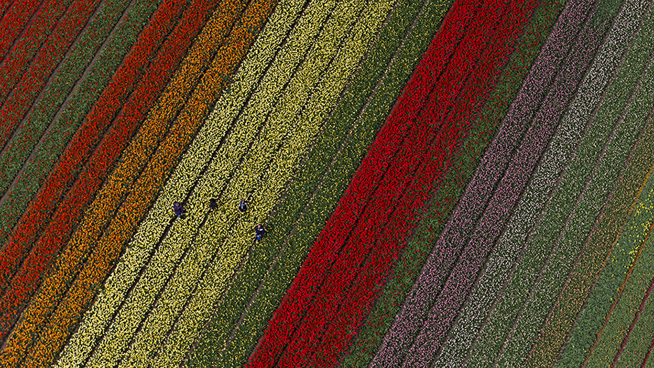 Tan2017-4-19_122416176_0 11