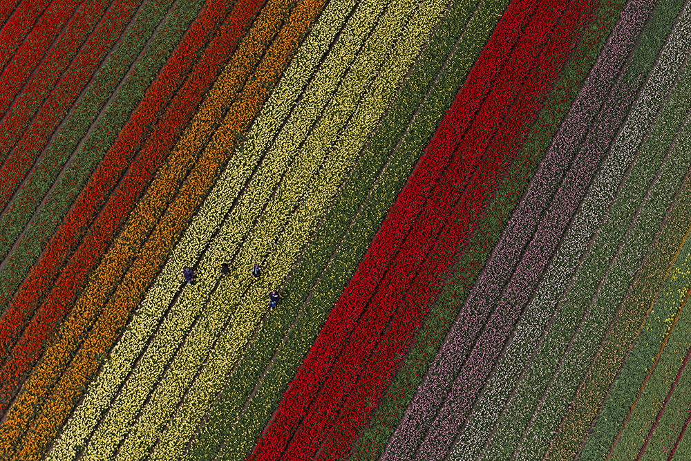 Tanjug/AP/Peter Dejong