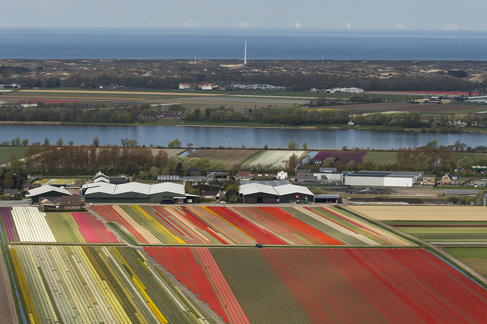 Tan2017-4-19_123452753_0