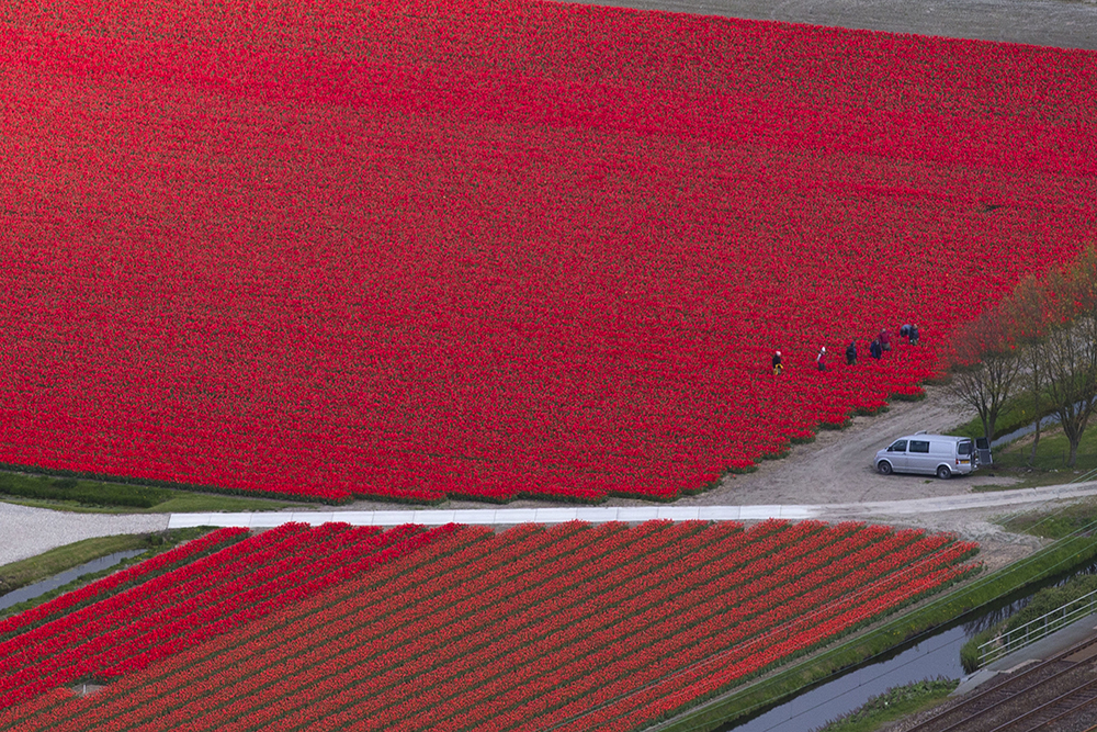 Tanjug/AP/Peter Dejong