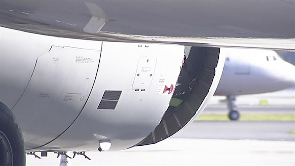 Tan2017-6-12_75633459_0