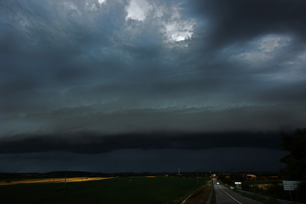 Tan2017-6-29_13344246_1