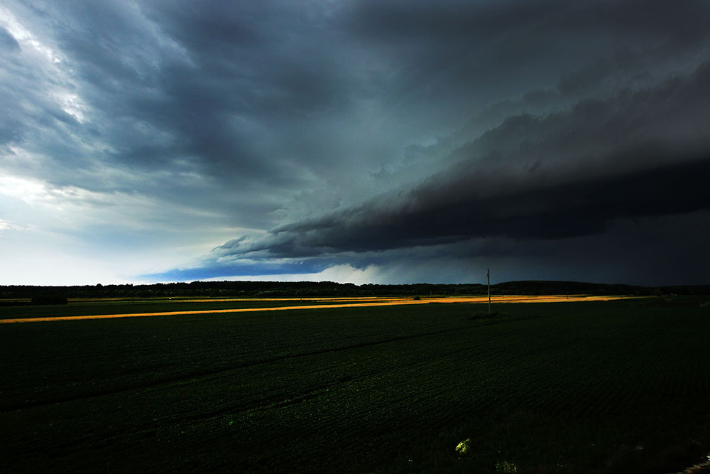 Tan2017-6-29_133448144_2