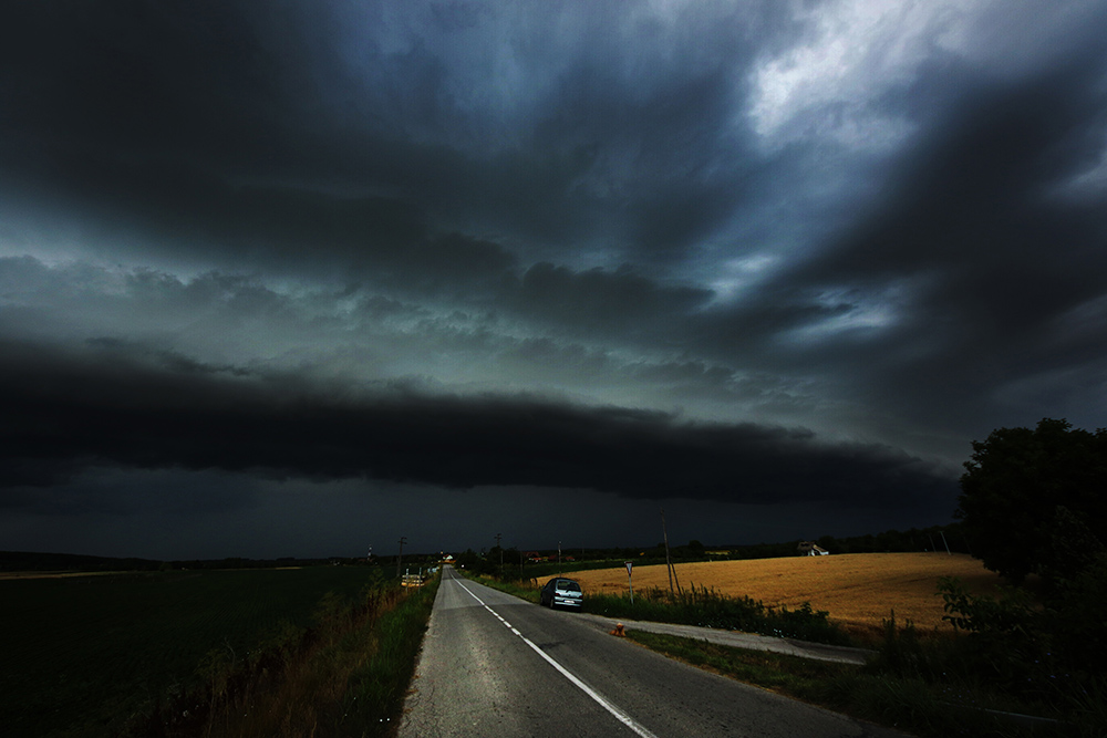 Tan2017-6-29_13358594_4