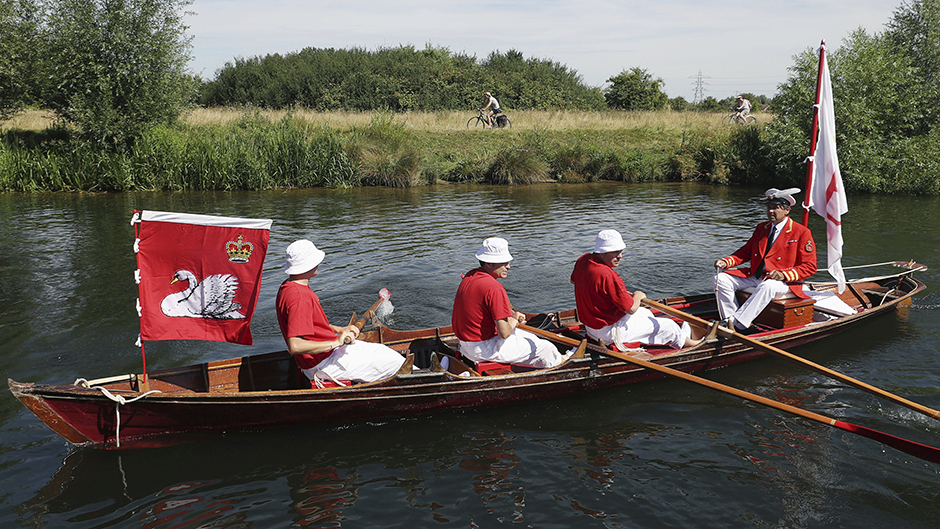 Tan2017-7-17_134951265_0