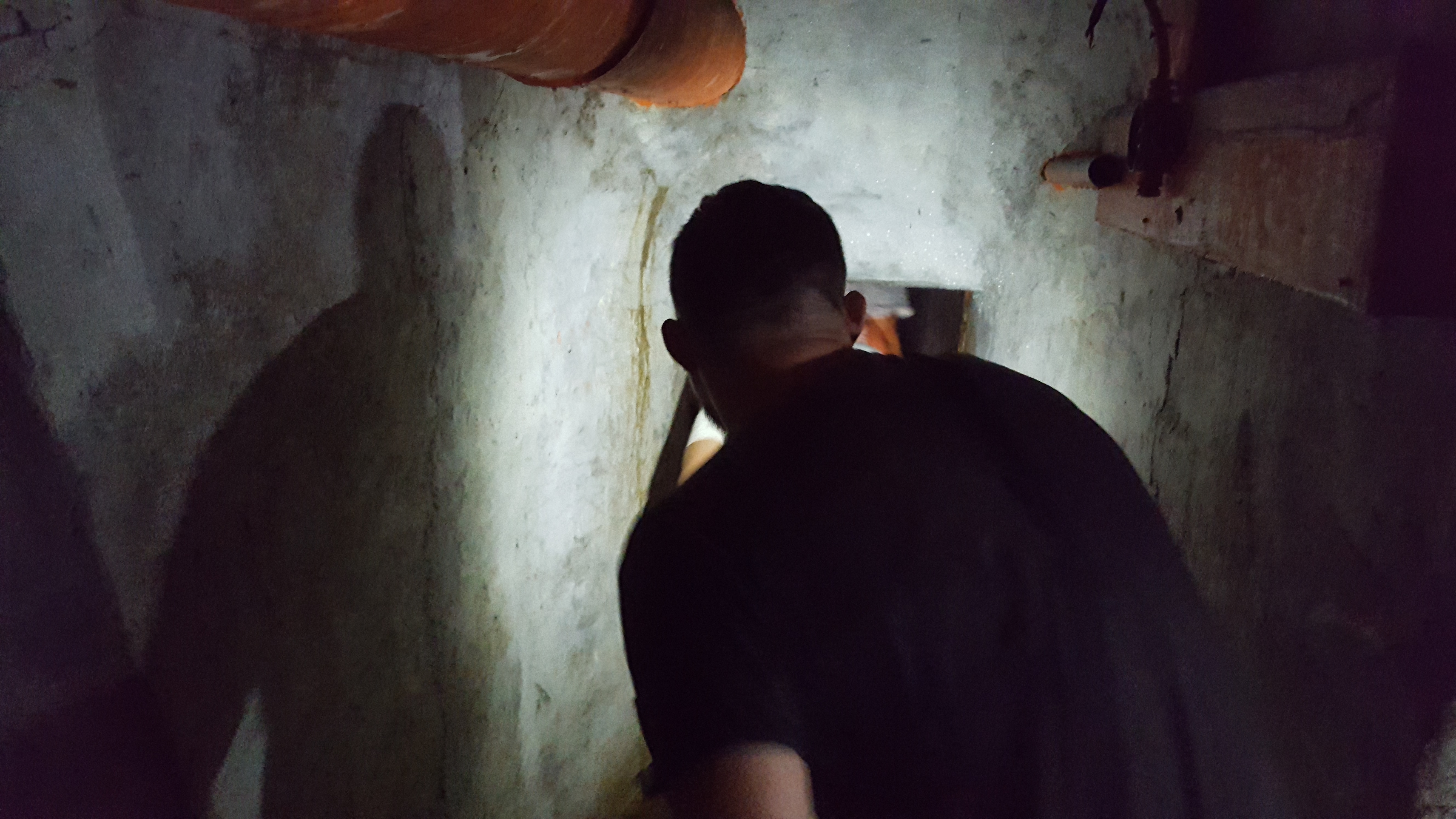 Tanjug/ Čedomir Petarić