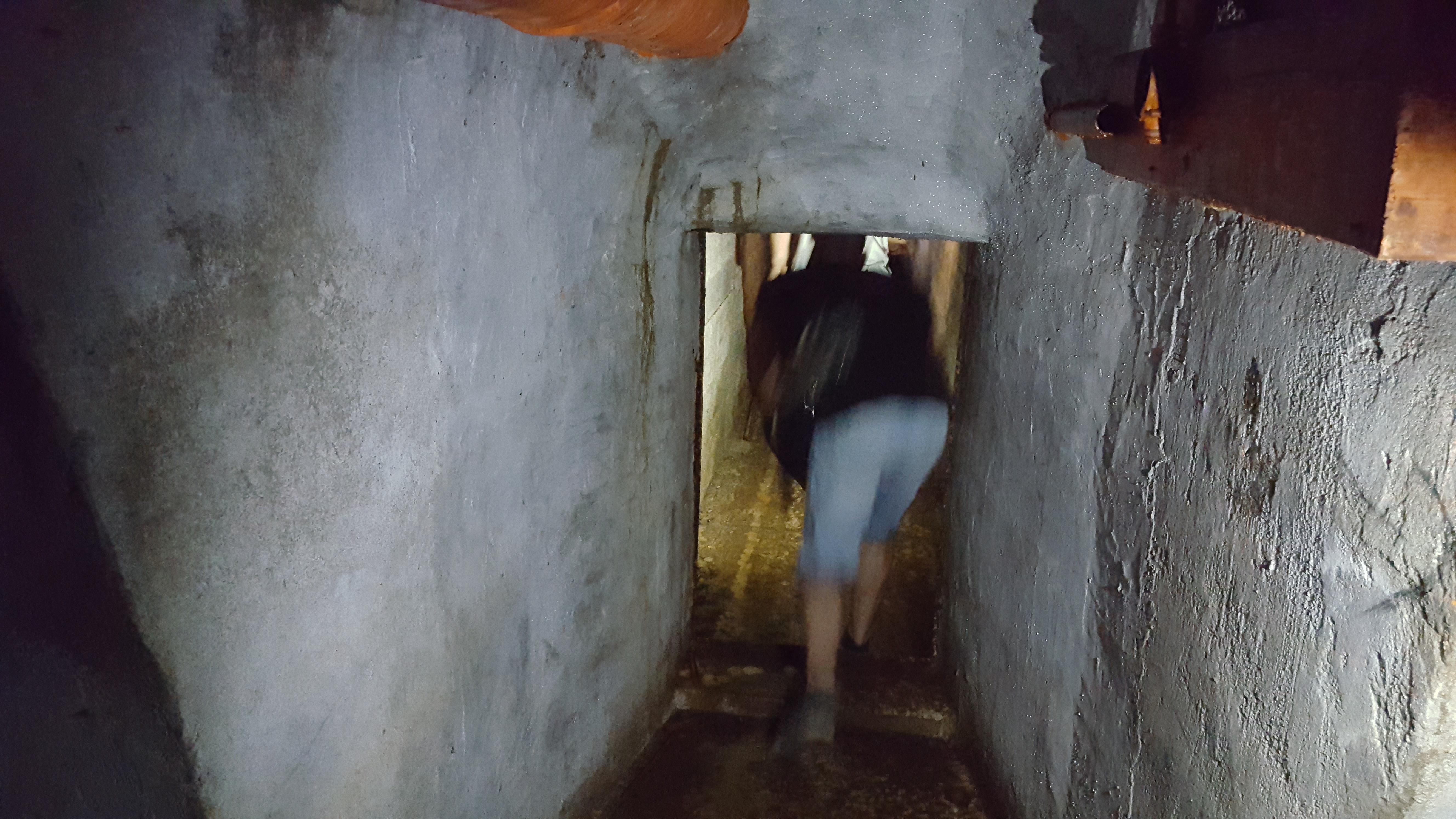 Tanjug/ Čedomir Petarić