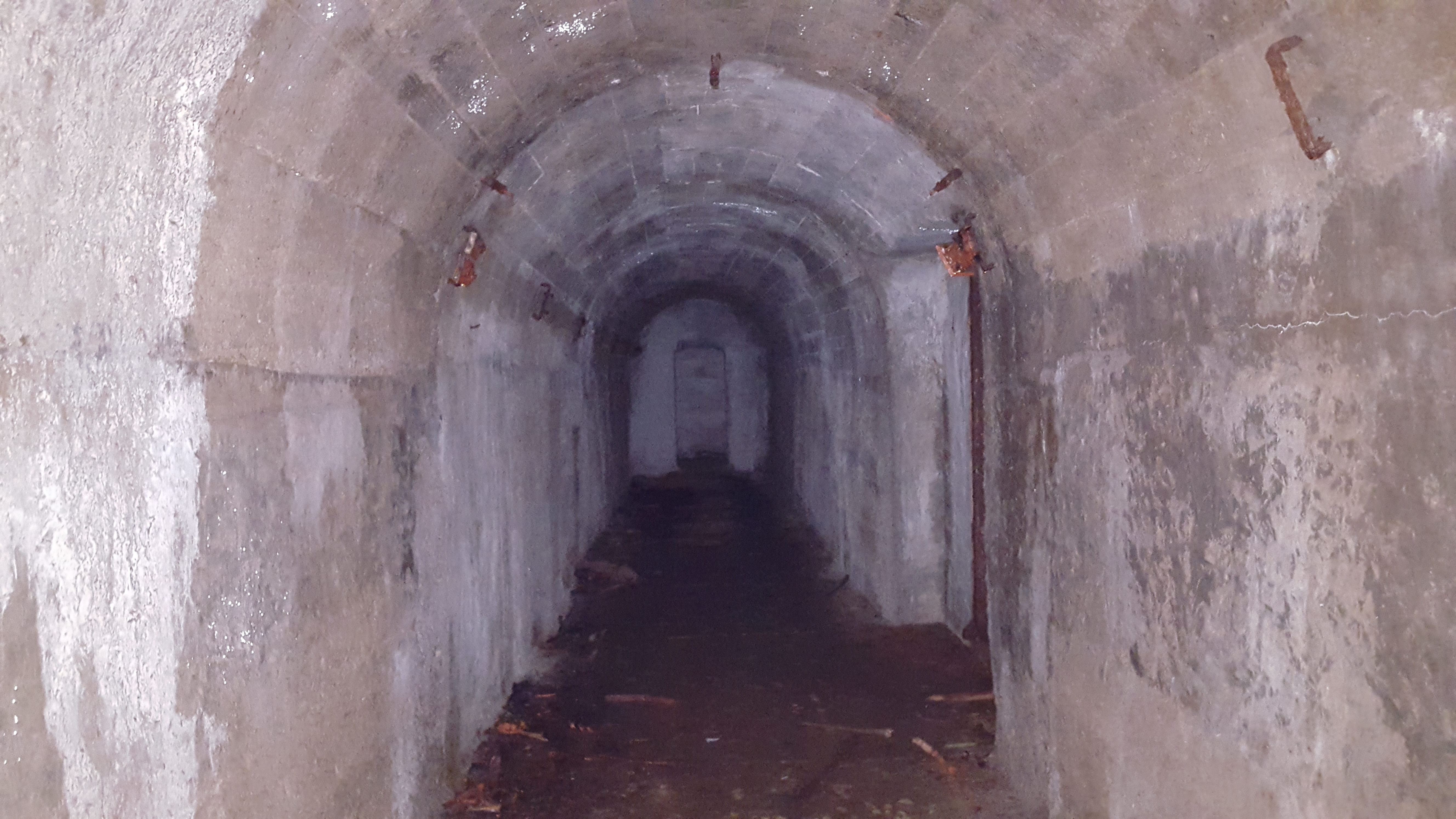 Tanjug/ Čedomir Petarić