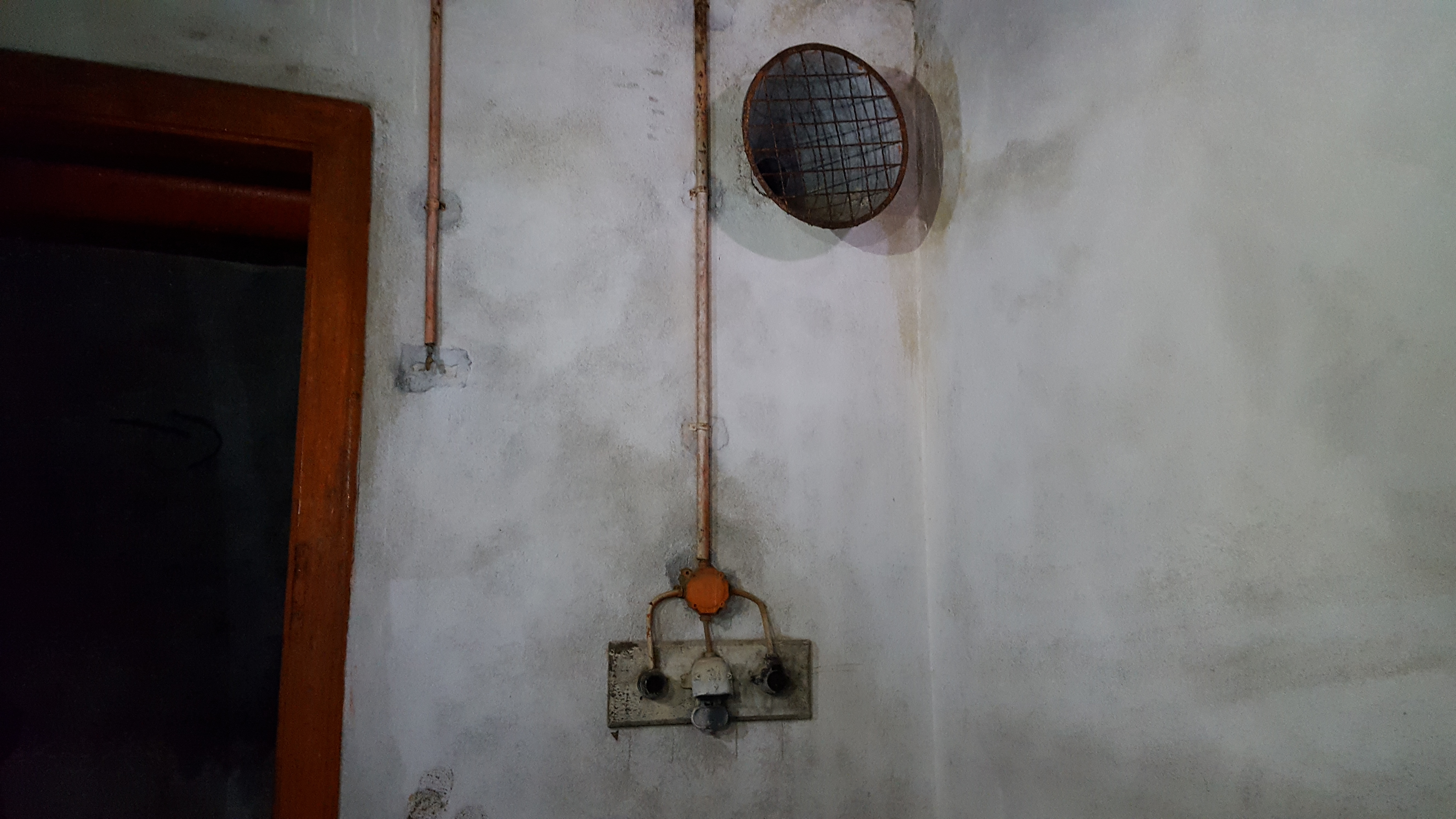 Tanjug/ Čedomir Petarić