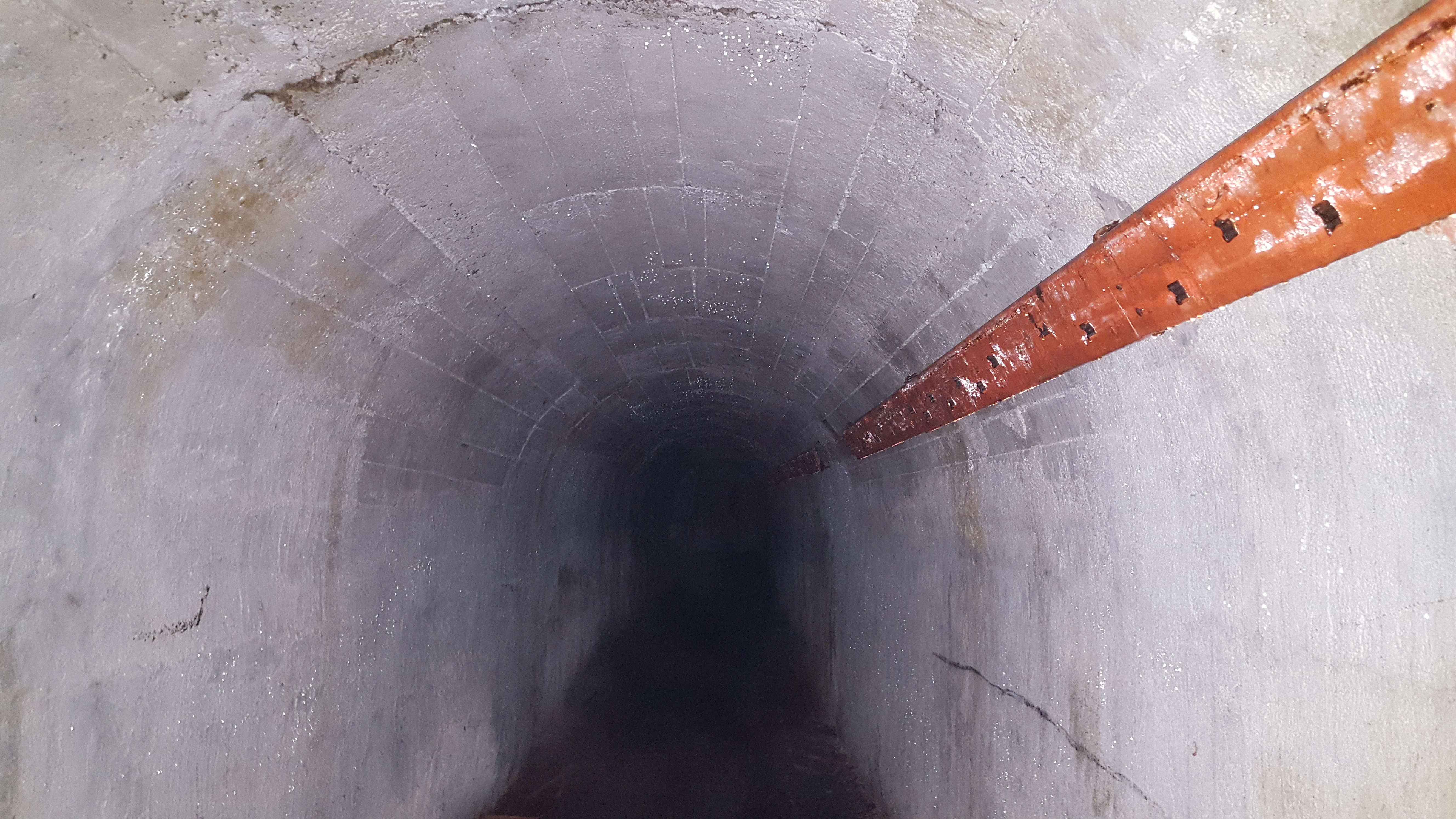 Tanjug/ Čedomir Petarić