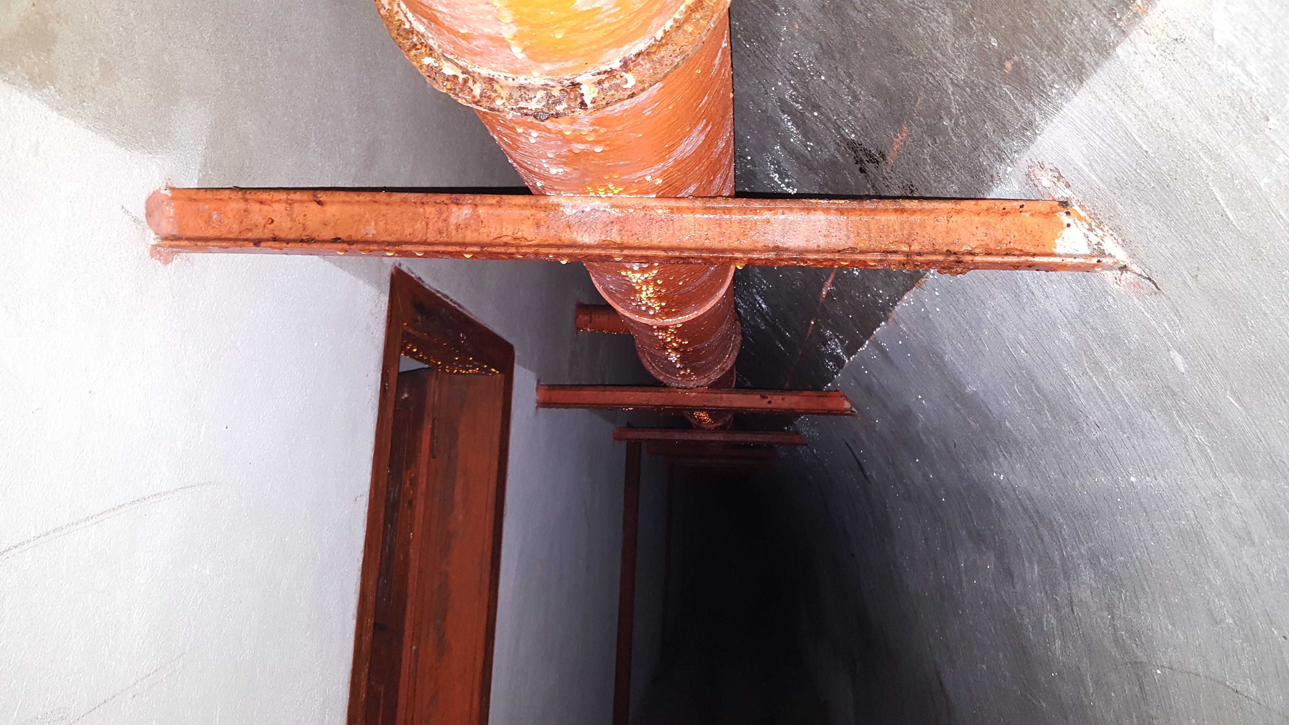 Tanjug/ Čedomir Petarić