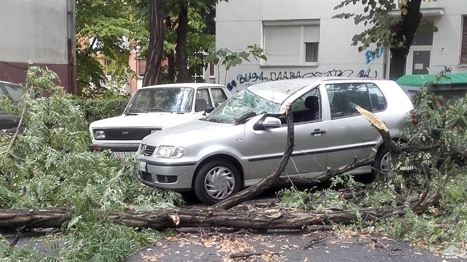 Tan2017-9-17_15295167_0