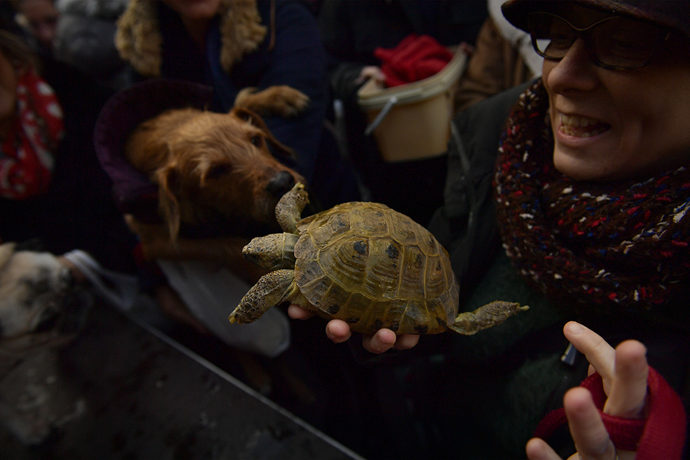 Tanjug/AP/Alvaro Barrientos