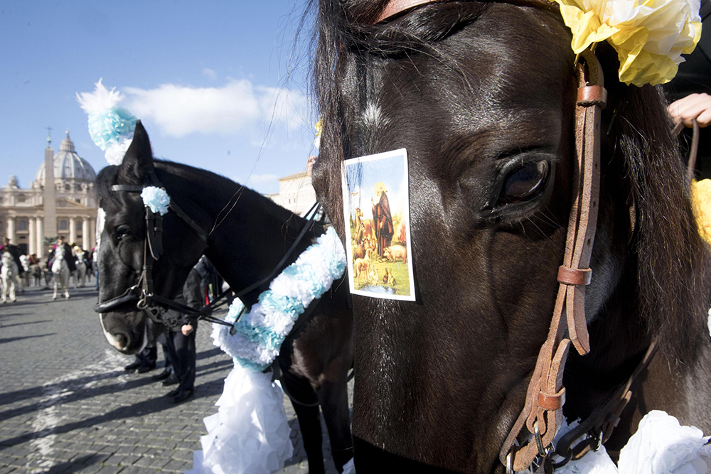 Reuters/Claudio Peri/Pool