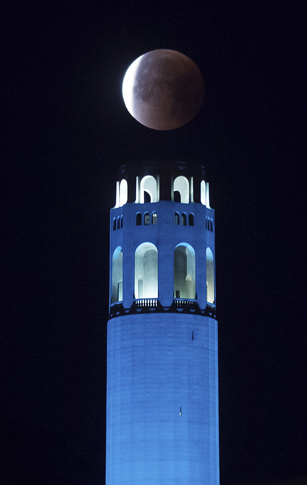 Tan2018-1-31_185636982_11