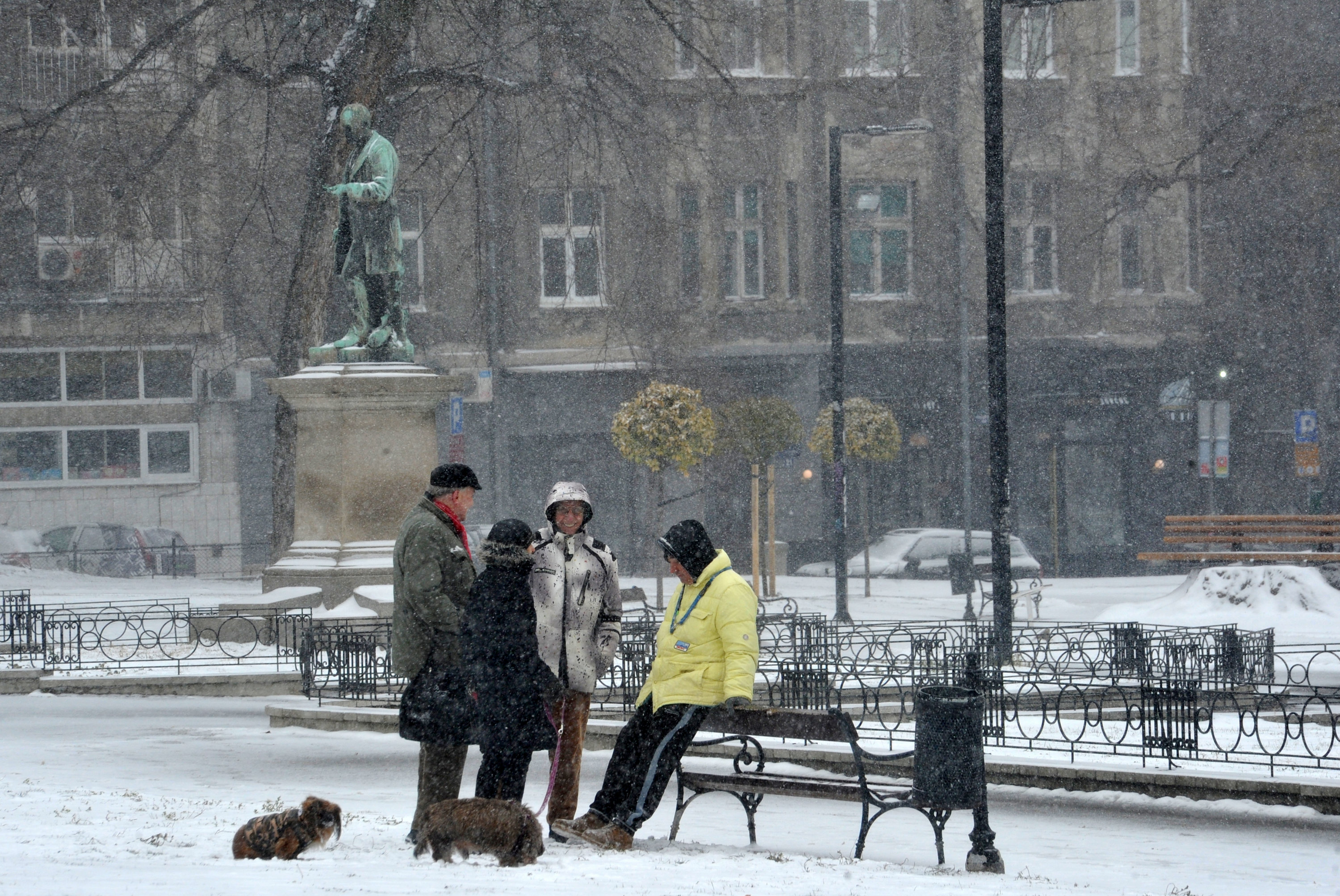 Tanjug/Dimitrije Goll