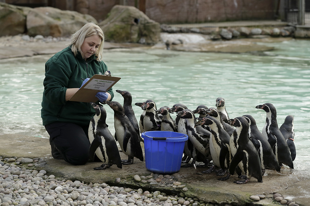 Tanjug/AP/Matt Dunham