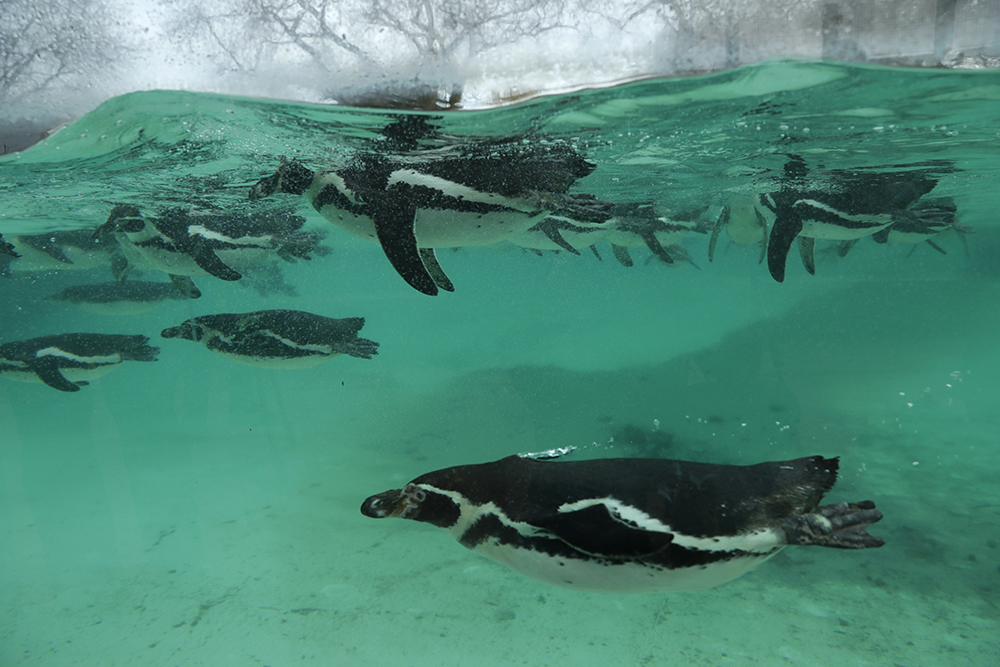 Tan2018-2-7_141855602_0