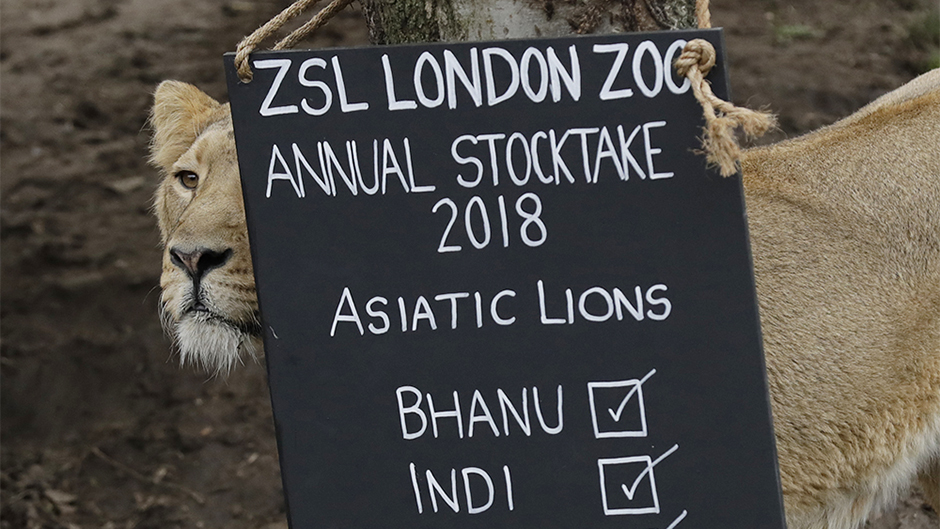 Tan2018-2-7_14202716_0ff