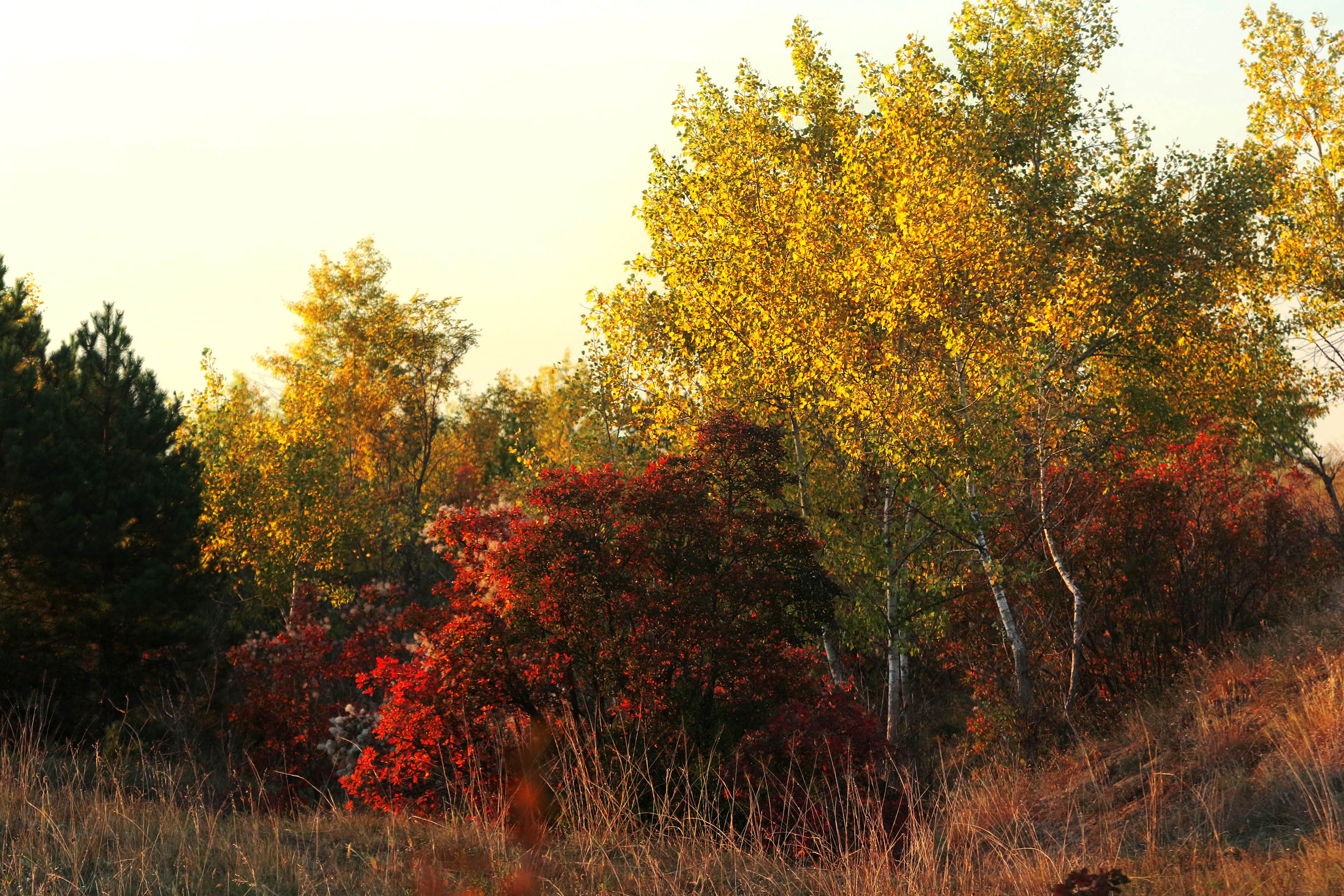 Tanjug/ Jaroslav Pap