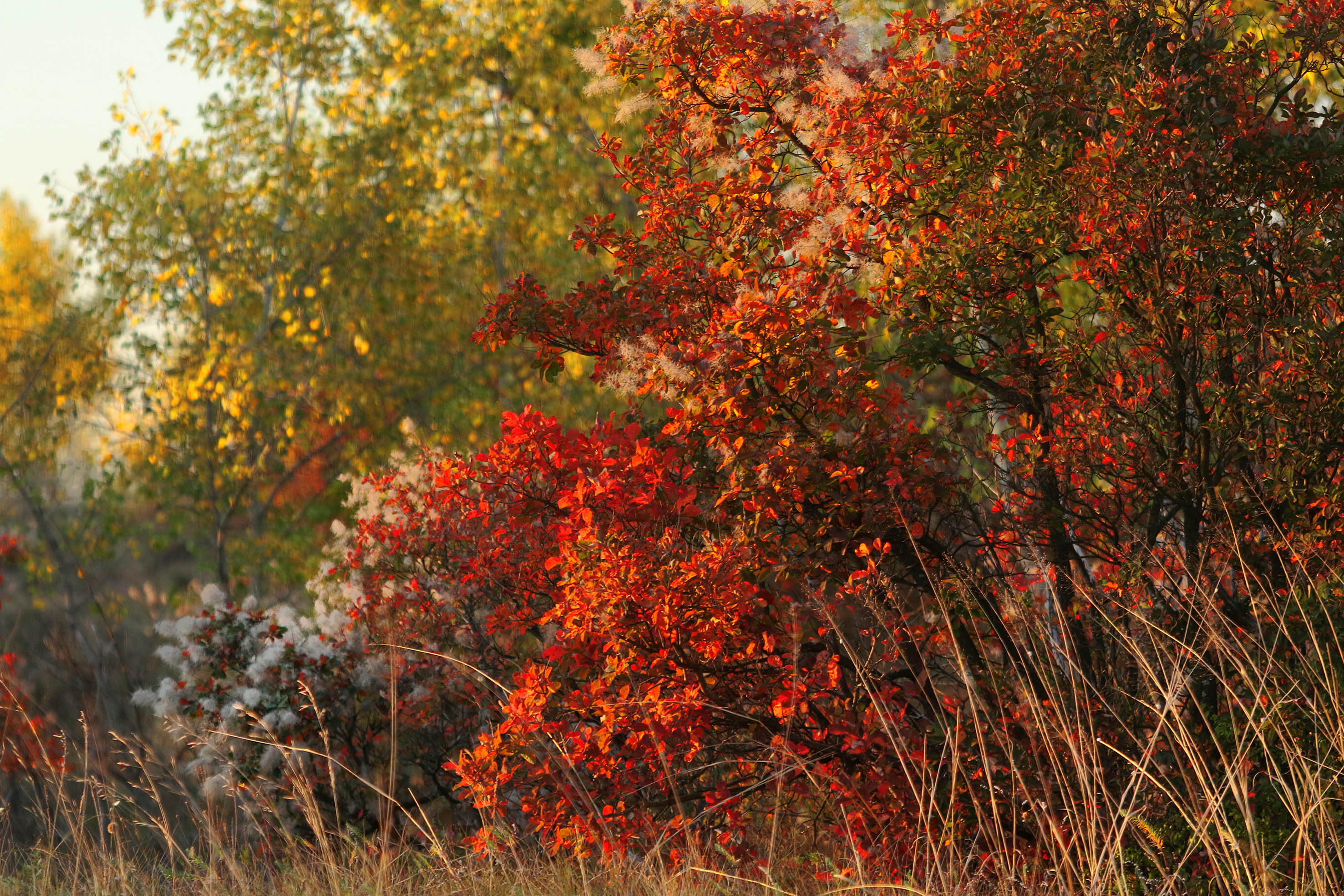 Tanjug/ Jaroslav Pap