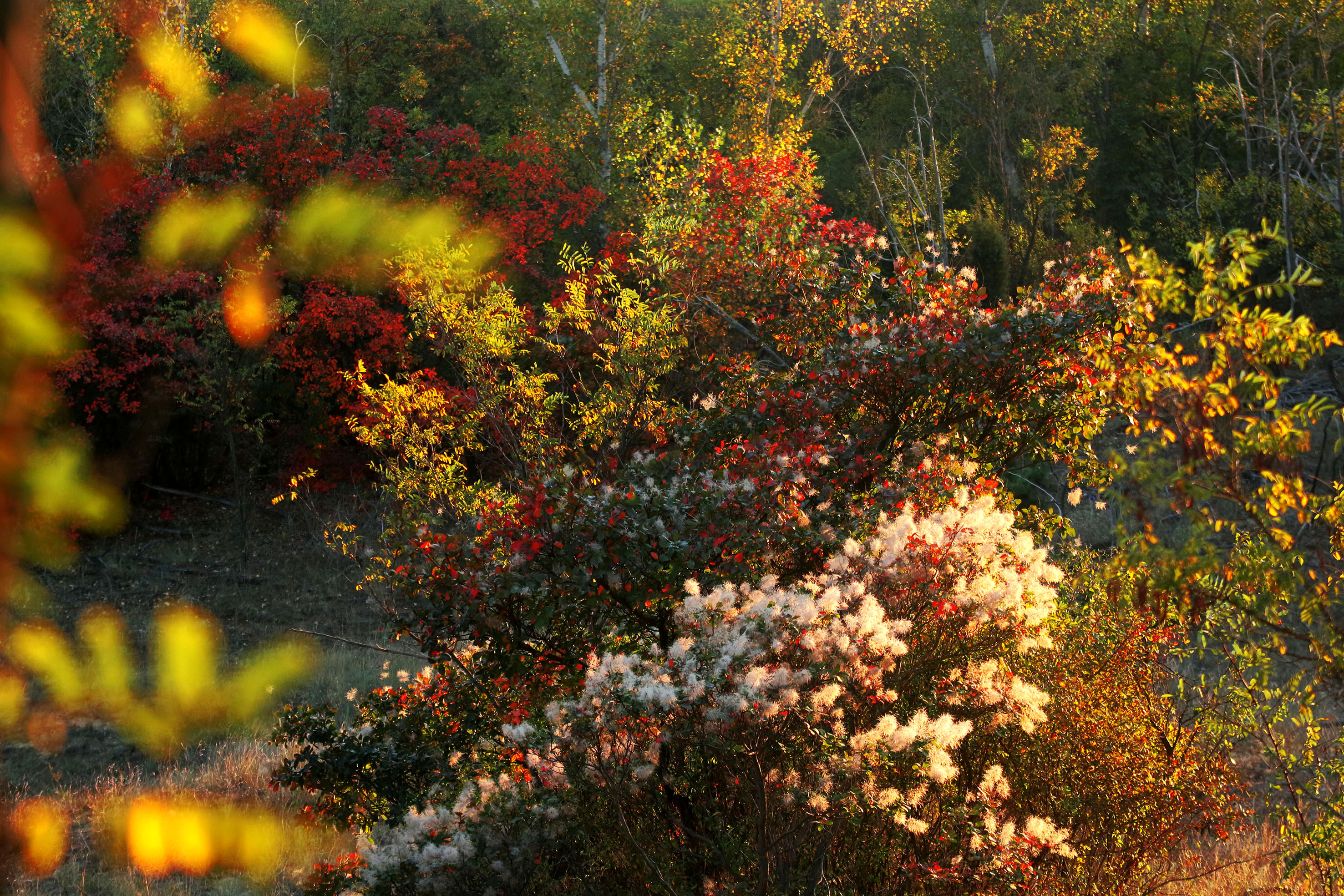 Tanjug/ Jaroslav Pap