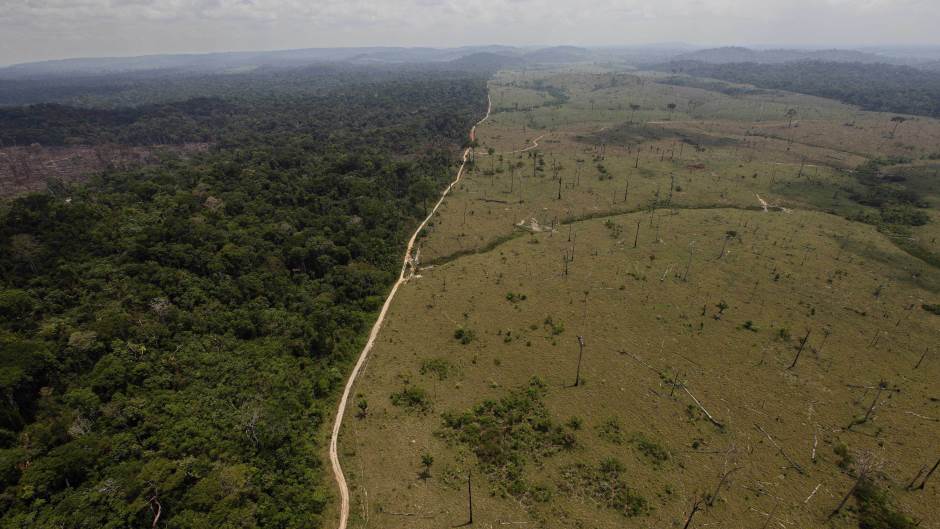 Tan2019-5-27_204248522_17