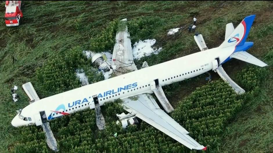 Tan2019-8-15_19743698_0