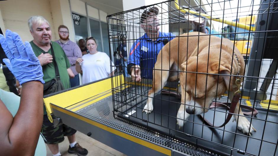 Tan2019-9-3_043581_0