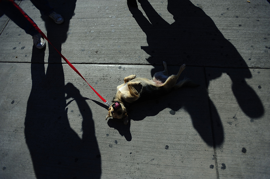 Tanjug/Oksana Toskić