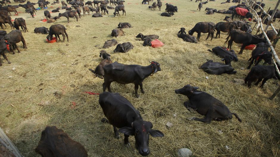 Tanjug, AP/Kuni Takahashi