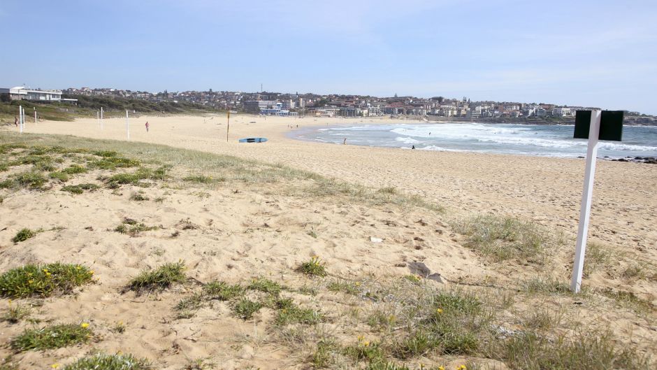 Tanjug,AP/Rick Rycroft