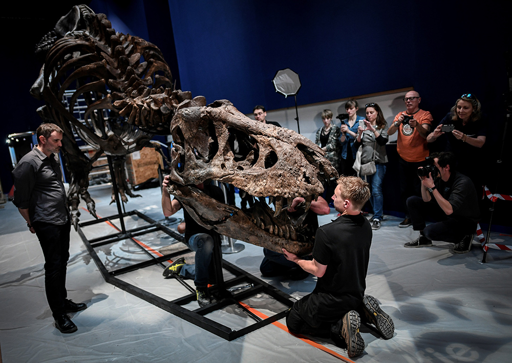 FRANCE-SCIENCE-DINOSAUR-EXHIBITION-T-REX