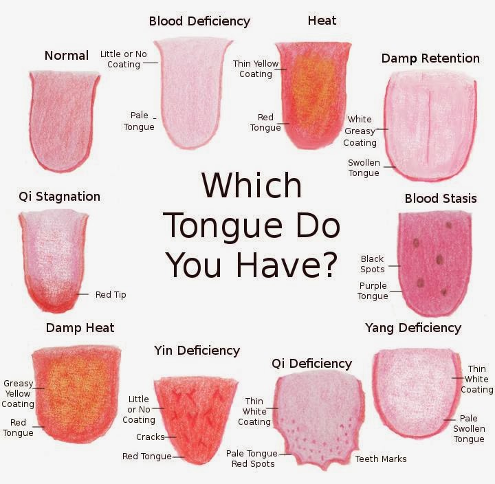 tongue-chart-67042.jpeg