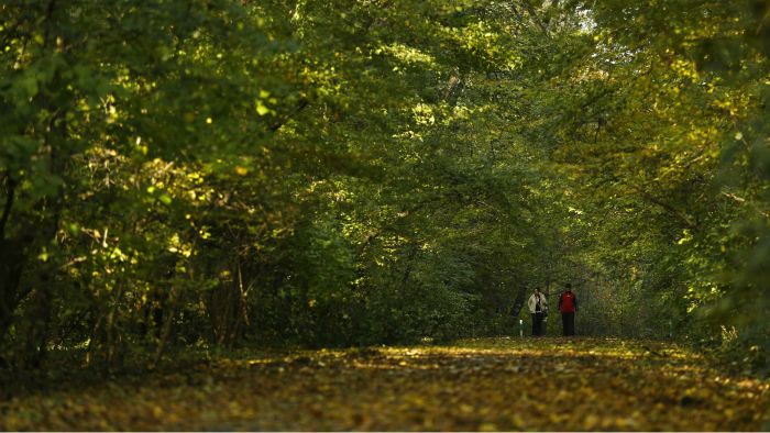 toplo vrijeme reuters Bogdan Cristel