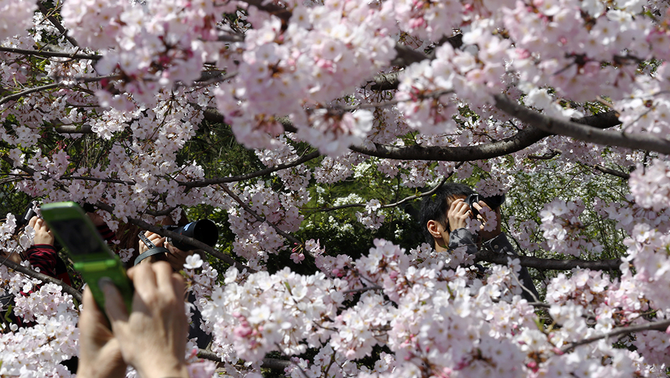 Tanjug/AP/Shizuo Kambayashi