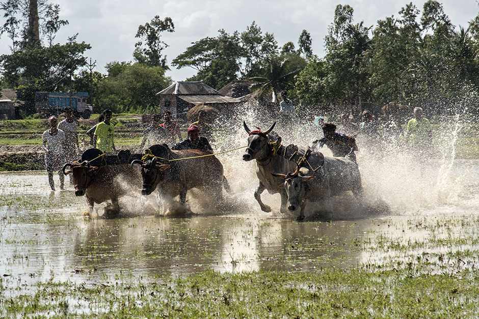 ANADOLIJA/Sushavan Nandy