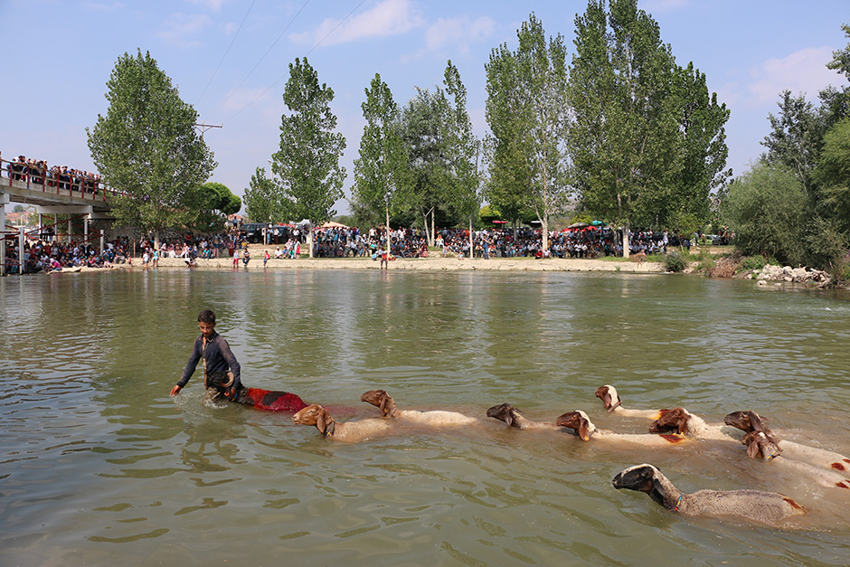 ANADOLIJA/Sebahatdin Zeyrek