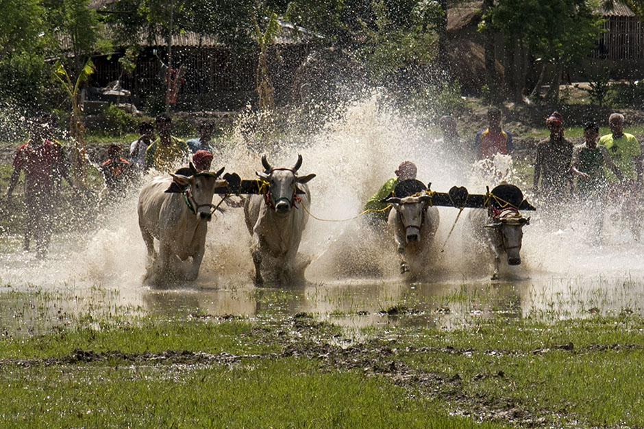 ANADOLIJA/Sushavan Nandy