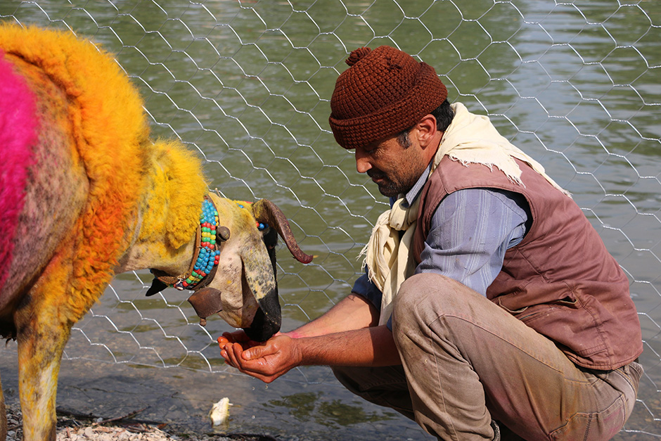 ANADOLIJA/Sebahatdin Zeyrek