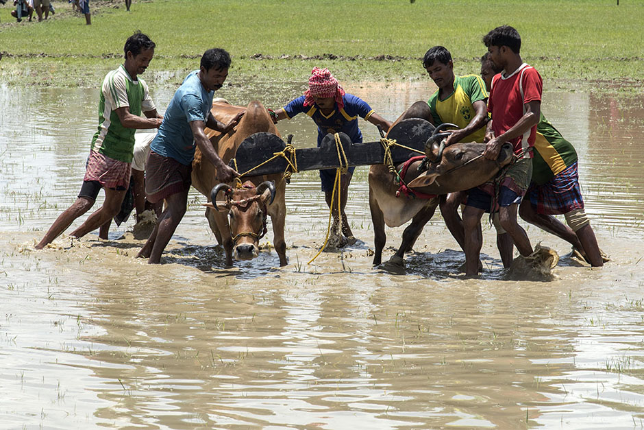 ANADOLIJA/Sushavan Nandy